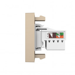 Розетка интернет RJ-45 кат. 6 Livolo, цвет золотой (механизм)