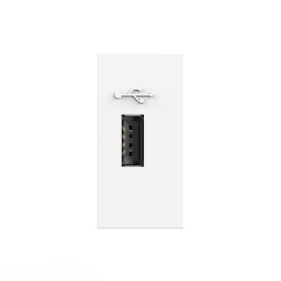 Розетка USB с блоком питания 2.1А 5В Livolo, цвет белый (механизм) BB-C7-1USB-11 Розетка USB с блоком питания 2.1А 5В Livolo, цвет белый (механизм) BB-C7-1USB-11