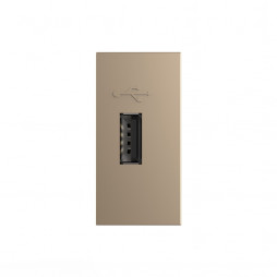 Розетка USB с блоком питания 2.1А 5В Livolo, цвет золотой (механизм)