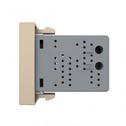 Розетка USB с блоком питания 2.1А 5В Livolo, цвет золотой (механизм)