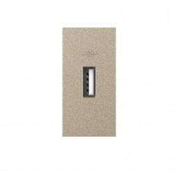Розетка USB с блоком питания 2.1А 5В Livolo, цвет шампань (механизм)