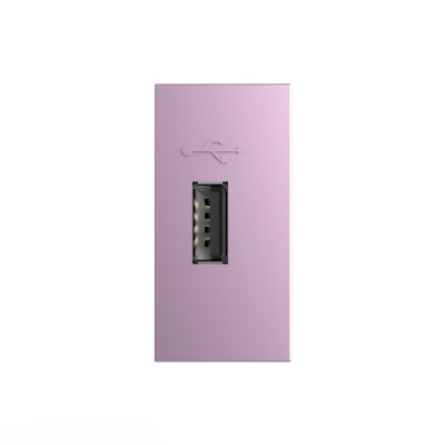 Розетка USB с блоком питания 2.1А 5В Livolo, цвет розовый (механизм) BB-C7-1USB-17 Розетка USB с блоком питания 2.1А 5В Livolo, цвет розовый (механизм) BB-C7-1USB-17