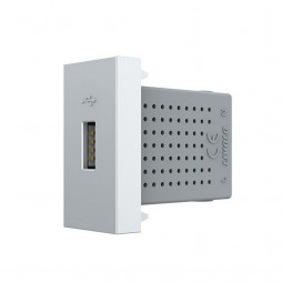 Розетка USB с блоком питания 2.1А 5В Livolo, цвет серебристый / алюминий (механизм)