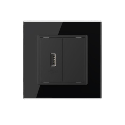 Розетка с одним USB type-A, блоком питания 5В 2.1А Livolo, 1 пост, цвет черный VL-C791USB-12 Розетка с одним USB type-A, блоком питания 5В 2.1А Livolo, 1 пост, цвет черный VL-C791USB-12