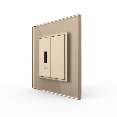 Розетка с одним USB type-A, блоком питания 5В 2.1А Livolo, 1 пост, цвет золотой VL-C791USB-13 Розетка с одним USB type-A, блоком питания 5В 2.1А Livolo, 1 пост, цвет золотой VL-C791USB-13