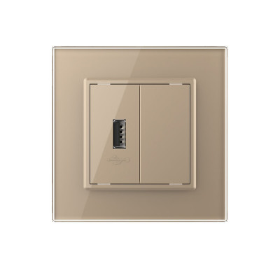 Розетка с одним USB type-A, блоком питания 5В 2.1А Livolo, 1 пост, цвет золотой VL-C791USB-13 Розетка с одним USB type-A, блоком питания 5В 2.1А Livolo, 1 пост, цвет золотой VL-C791USB-13