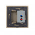 Розетка с одним USB type-A, блоком питания 5В 2.1А Livolo, 1 пост, цвет золотой VL-C791USB-13 Розетка с одним USB type-A, блоком питания 5В 2.1А Livolo, 1 пост, цвет золотой VL-C791USB-13