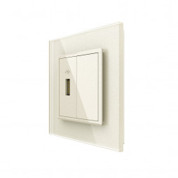 Розетка с одним USB type-A, блоком питания 5В 2.1А Livolo, 1 пост, цвет жемчужный