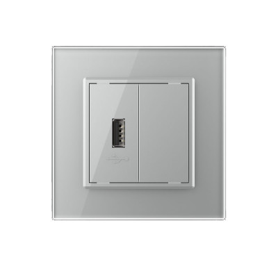 Розетка с одним USB type-A, блоком питания 5В 2.1А Livolo, 1 пост, цвет серый VL-C791USB-15 Розетка с одним USB type-A, блоком питания 5В 2.1А Livolo, 1 пост, цвет серый VL-C791USB-15