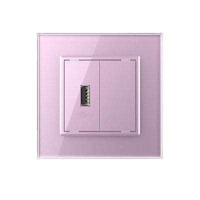 Розетка с одним USB type-A, блоком питания 5В 2.1А Livolo, 1 пост, цвет розовый VL-C791USB-17 Розетка с одним USB type-A, блоком питания 5В 2.1А Livolo, 1 пост, цвет розовый VL-C791USB-17