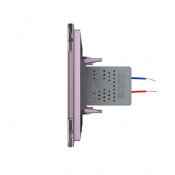 Розетка с одним USB type-A, блоком питания 5В 2.1А Livolo, 1 пост, цвет розовый