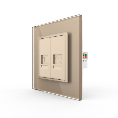 Розетка интернет двойная RJ-45 кат.6 Livolo, 1 пост, цвет золотой VL-C792C-13 Розетка интернет двойная RJ-45 кат.6 Livolo, 1 пост, цвет золотой VL-C792C-13