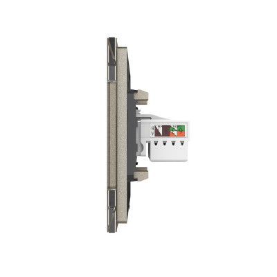 Розетка интернет двойная RJ-45 кат.6 Livolo, 1 пост, цвет шампань VL-C792C-16 Розетка интернет двойная RJ-45 кат.6 Livolo, 1 пост, цвет шампань VL-C792C-16
