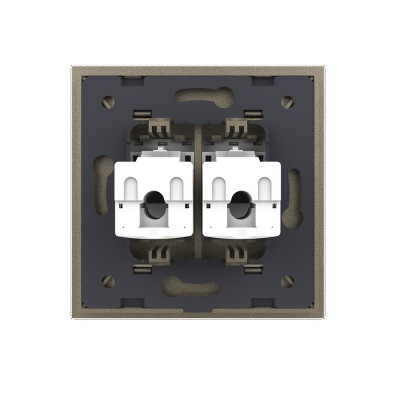 Розетка интернет двойная RJ-45 кат.6 Livolo, 1 пост, цвет шампань VL-C792C-16 Розетка интернет двойная RJ-45 кат.6 Livolo, 1 пост, цвет шампань VL-C792C-16