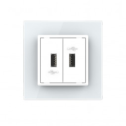 Розетка с двумя USB type-A, блоком питания 5В 2.1А Livolo, 1 пост, цвет белый