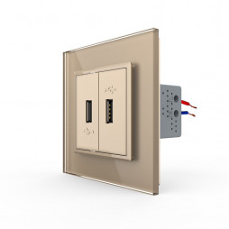 Розетка с двумя USB type-A, блоком питания 5В 2.1А Livolo, 1 пост, цвет золотой