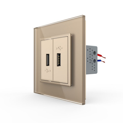 Розетка с двумя USB type-A, блоком питания 5В 2.1А Livolo, 1 пост, цвет золотой VL-C792USB-13 Розетка с двумя USB type-A, блоком питания 5В 2.1А Livolo, 1 пост, цвет золотой VL-C792USB-13