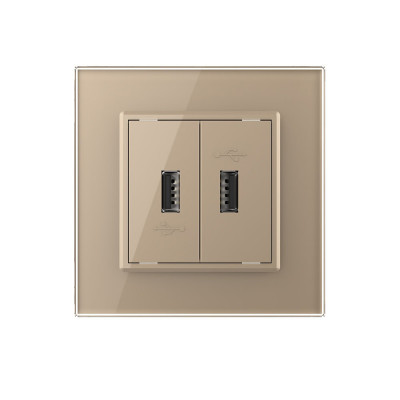 Розетка с двумя USB type-A, блоком питания 5В 2.1А Livolo, 1 пост, цвет золотой VL-C792USB-13 Розетка с двумя USB type-A, блоком питания 5В 2.1А Livolo, 1 пост, цвет золотой VL-C792USB-13