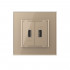 Розетка с двумя USB type-A, блоком питания 5В 2.1А Livolo, 1 пост, цвет золотой VL-C792USB-13 Розетка с двумя USB type-A, блоком питания 5В 2.1А Livolo, 1 пост, цвет золотой VL-C792USB-13