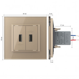 Розетка с двумя USB type-A, блоком питания 5В 2.1А Livolo, 1 пост, цвет золотой