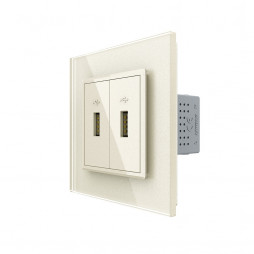 Розетка с двумя USB type-A, блоком питания 5В 2.1А Livolo, 1 пост, цвет жемчужный