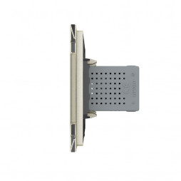 Розетка с двумя USB type-A, блоком питания 5В 2.1А Livolo, 1 пост, цвет жемчужный