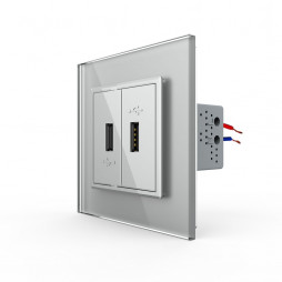 Розетка с двумя USB type-A, блоком питания 5В 2.1А Livolo, 1 пост, цвет серый