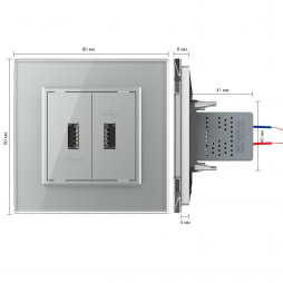 Розетка с двумя USB type-A, блоком питания 5В 2.1А Livolo, 1 пост, цвет серый