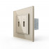 Розетка с двумя USB type-A, блоком питания 5В 2.1А Livolo, 1 пост, цвет шампань VL-C792USB-16 Розетка с двумя USB type-A, блоком питания 5В 2.1А Livolo, 1 пост, цвет шампань VL-C792USB-16