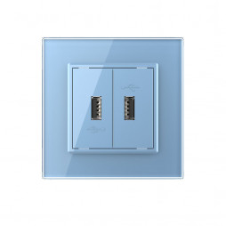 Розетка с двумя USB type-A, блоком питания 5В 2.1А Livolo, 1 пост, цвет синий