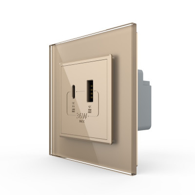 Розетка USB type-C и USB type-A, блоком питания 36W Livolo, 1 пост, цвет золотой VL-C7VUA18W.UC18W-2AP Розетка USB type-C и USB type-A, блоком питания 36W Livolo, 1 пост, цвет золотой VL-C7VUA18W.UC18W-2AP