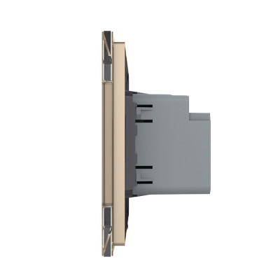 Розетка USB type-C и USB type-A, блоком питания 36W Livolo, 1 пост, цвет золотой VL-C7VUA18W.UC18W-2AP Розетка USB type-C и USB type-A, блоком питания 36W Livolo, 1 пост, цвет золотой VL-C7VUA18W.UC18W-2AP
