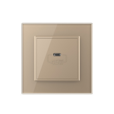 Розетка USB type-C, блоком питания 45W Livolo, 1 пост, цвет золотой VL-C7VUC-2AP Розетка USB type-C, блоком питания 45W Livolo, 1 пост, цвет золотой VL-C7VUC-2AP