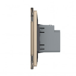 Розетка USB type-C, блоком питания 45W Livolo, 1 пост, цвет золотой