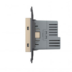 Розетка электрическая с заземлением защитными шторками 16A + USB type C с блоком питания 18W Livolo, цвет золотой (механизм)