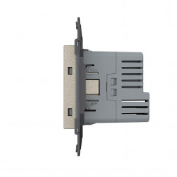 Розетка электрическая с заземлением защитными шторками 16A + USB type C с блоком питания 18W Livolo, цвет шампань (механизм)
