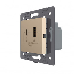 Розетка USB type C+A с блоком питания 36W Livolo, цвет золотой (механизм)
