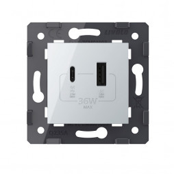 Розетка USB type C+A с блоком питания 36W Livolo, цвет серебристый / алюминий (механизм)