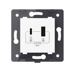 Розетка USB type C+A с блоком питания 36W Livolo, цвет белый (механизм)