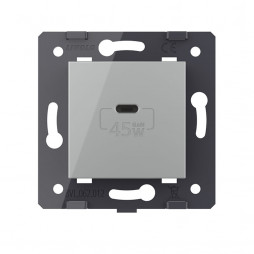 Розетка USB type C с блоком питания 45W Livolo, цвет серый (механизм)