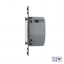 Двухклавишный сенсорный выключатель Livolo Quadro 12/24В с функцией радиоуправления, цвет черный (механизм)