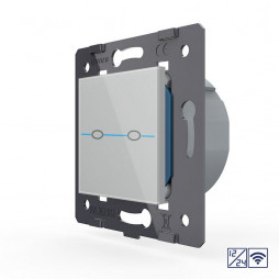 Двухклавишный сенсорный выключатель Livolo Quadro 12/24В с функцией радиоуправления, цвет серый (механизм)