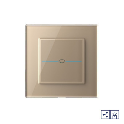Одноклавишный проходной/перекрестный сенсорный выключатель Livolo Quadro с функцией радиоуправления, 1 пост, цвет золотой VL-Q701SR-13 Одноклавишный проходной/перекрестный сенсорный выключатель Livolo Quadro с функцией радиоуправления, 1 пост, цвет золотой VL-Q701SR-13